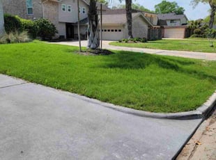 Tina P.'s lawn care service result