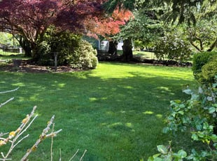 Robin H.'s landscaping service result