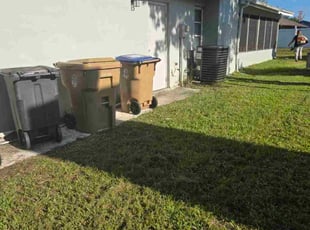 Steven I.'s grass cutting service result