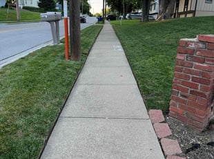 James P.'s lawn care services service result