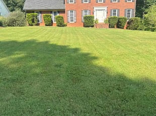 Kareem H.'s grass cutting service result