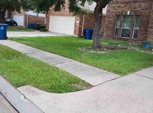 Charlotte B.'s grass cutting service result