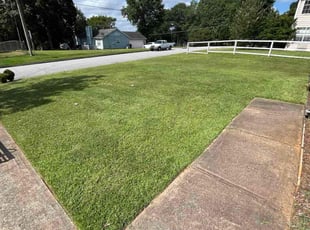 Glaudis L.'s lawn care service result