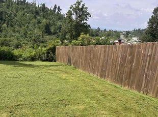 Maureen M.'s lawn maintenance service result