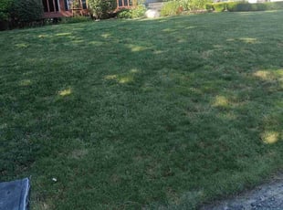 John F.'s lawn service service result