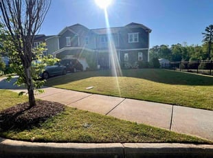Erica R.'s lawn care service result