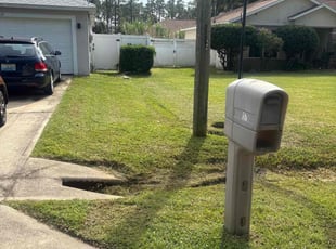 Gayle R.'s grass maintenance service result