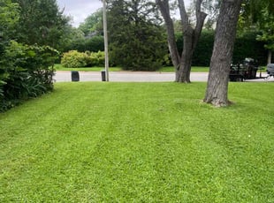 John P.'s lawn maintenance service result