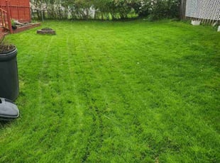 Joshua B.'s turf maintenance service result