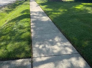 Natoya H.'s lawn service service result