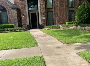 Andre R.'s grass maintenance service result