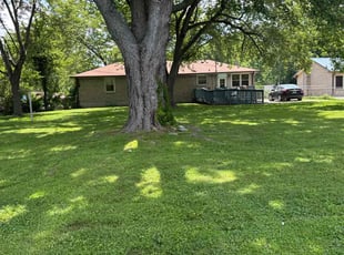 Troy S.'s lawn maintenance service result