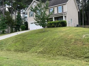 Ladale F.'s lawn care service result