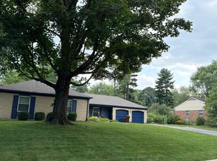 Lydia B.'s lawn care services service result