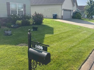 Irisha L.'s turf care service result