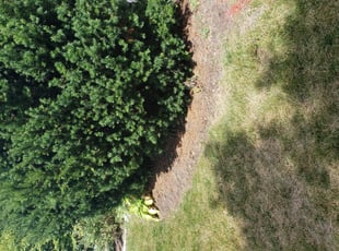 Mike Z.'s Flower Bed Weeding service result