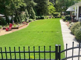 Rashidah T.'s lawn care services service result