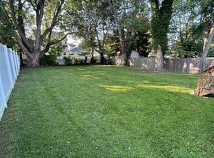 Carrie C.'s lawn maintenance service result