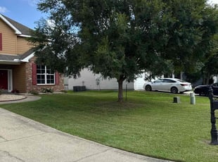 Toni D.'s lawn care services service result