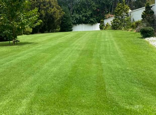 James M.'s lawn service service result