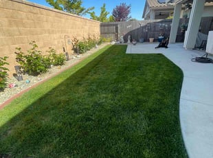 Bobbie B.'s lawn care services service result