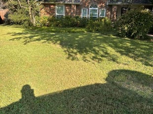 Rob R.'s Long Grass Cleanup service result