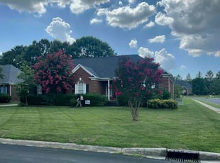 Michael M.'s grass cutting service result