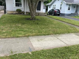 Steve A.'s grass cutting service result