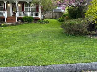 Elizabeth M.'s lawn service service result