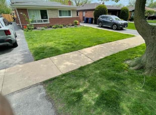 Bob G.'s lawn service service result