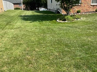 Susan K.'s turf maintenance service result