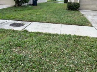 Tyler B.'s turf maintenance service result
