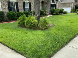 Lara C.'s lawn maintenance service result