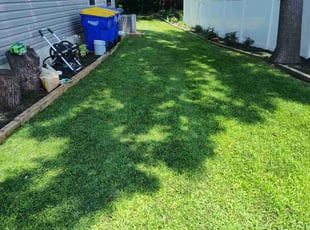 Susan H.'s grass cutting service result