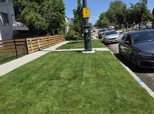 Pamela W.'s lawn service service result