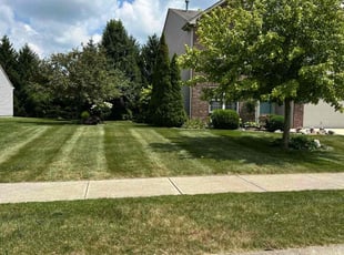 Carol T.'s lawn maintenance service result