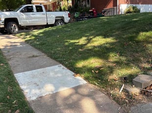 Lenora R.'s grass maintenance service result