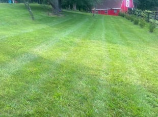 Patrick E.'s lawn care services service result