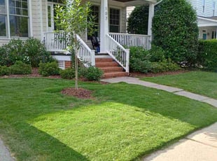 Shawn P.'s lawn care service result