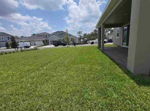 Vicki A.'s lawn maintenance service result