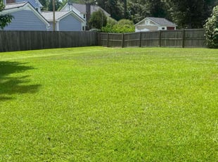 Steve S.'s turf care service result
