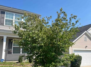 Craig V.'s Bush Trimming service result