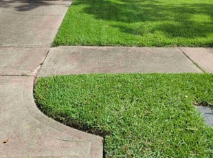 Jordan B.'s turf maintenance service result