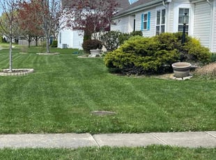 Shawn S.'s lawn care services service result