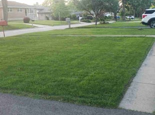 Susan H.'s lawn care services service result