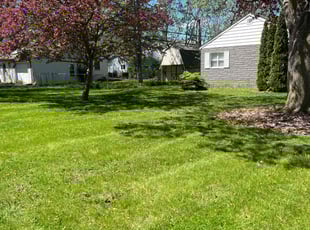 Philip L.'s lawn care service result