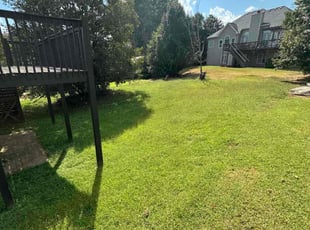 Christina E.'s turf care service result