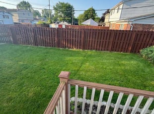 Stephen T.'s lawn care service result