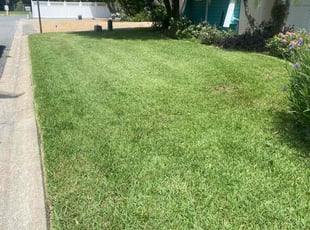 Michelle H.'s lawn service service result