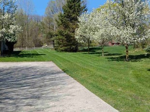 Simeon H.'s lawn service service result